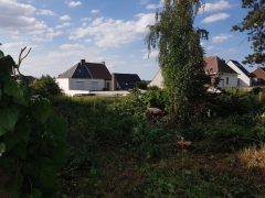 Rooien